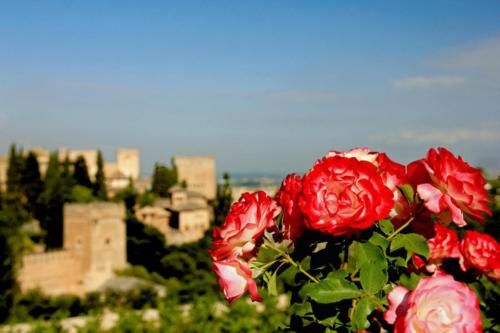 Alhambra(Andalusien)